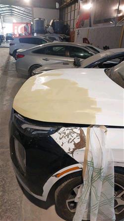هيونداي باليسيد